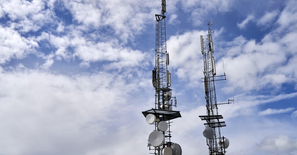 铁塔猫糖果双爆珠(细):盐城工商注册代理的条件