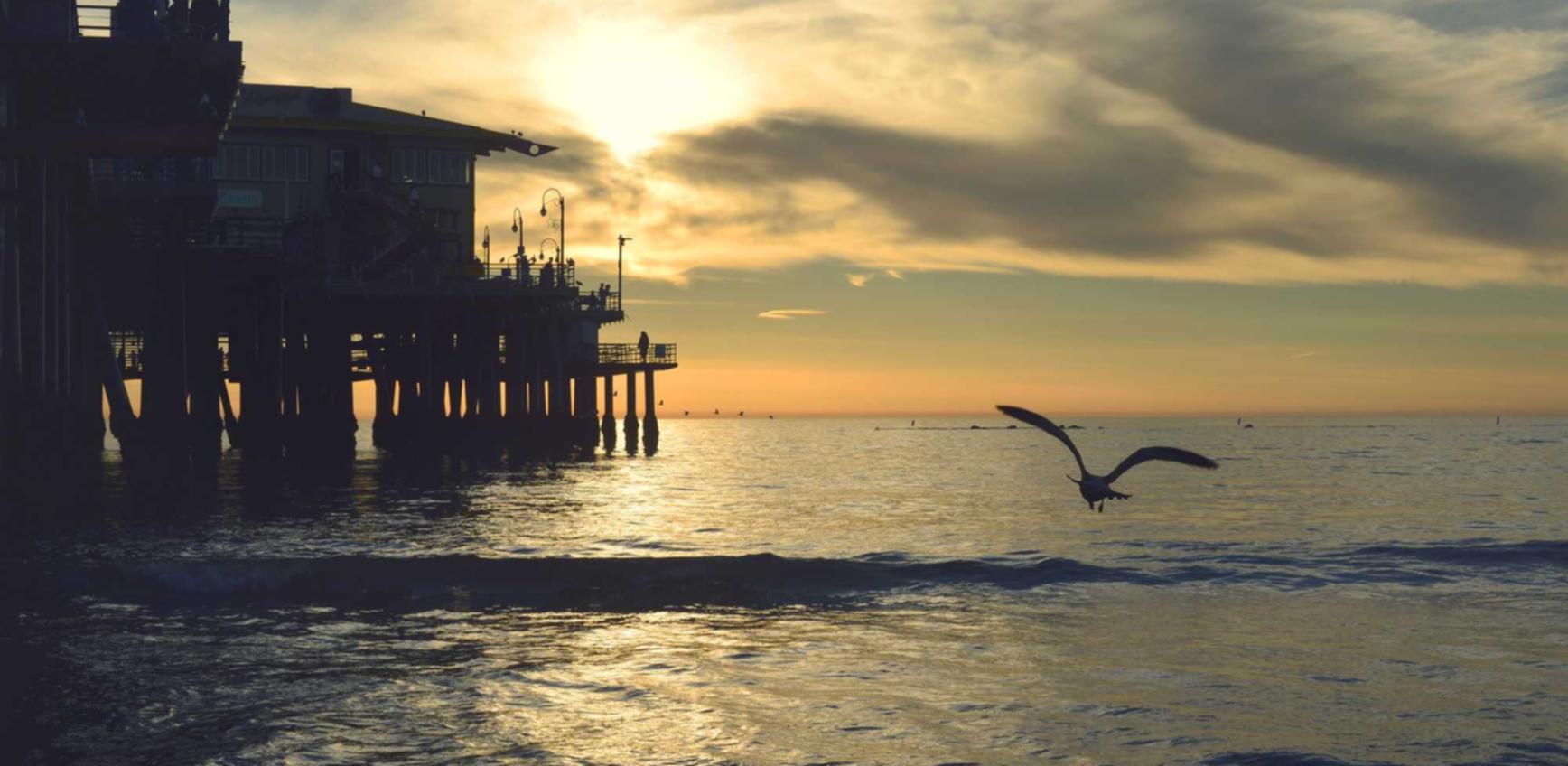 技术支持辅助为什么要强调它们安全可靠?