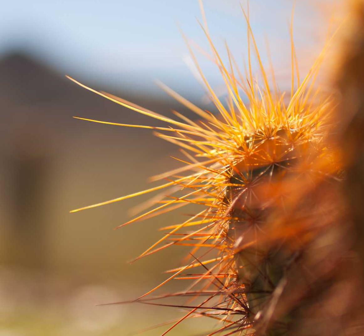 红桃娱乐,注册|平台购买详情下载教程