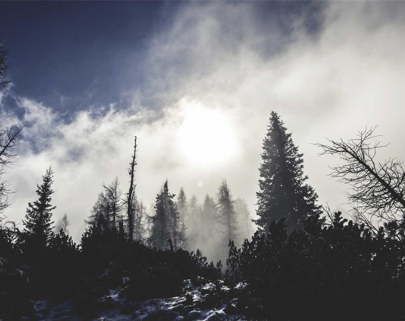 中麦通讯实名账号:短信营销案例分享:成功营销的秘诀和策略