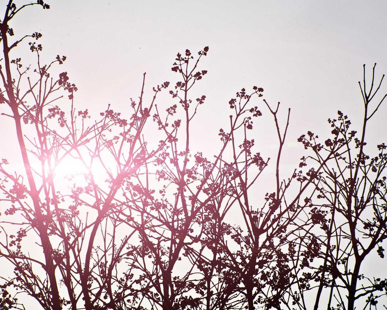 微信买号网站:空军总院app详情下载教程