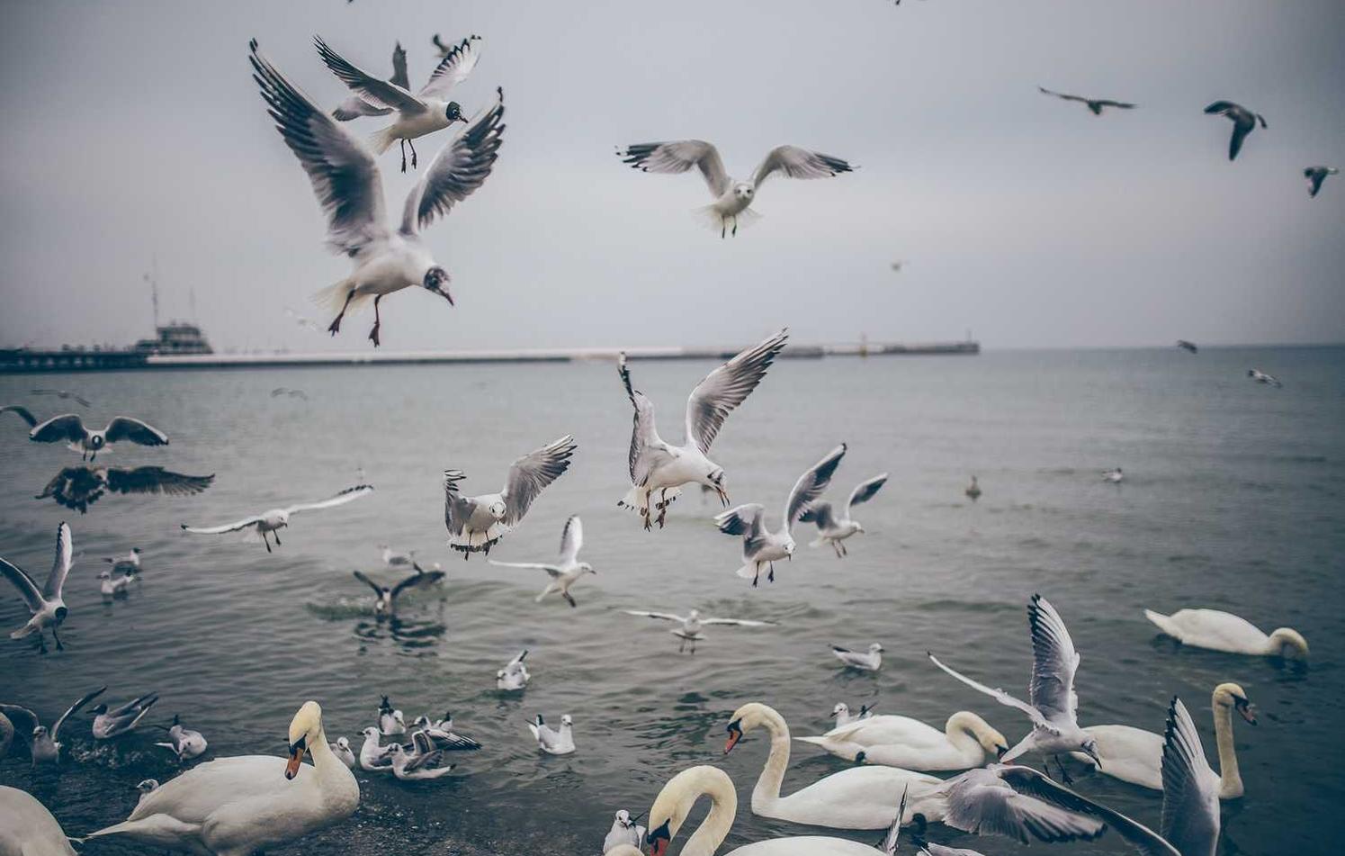 微信买卖小号：亚马逊个人卖家账号注册