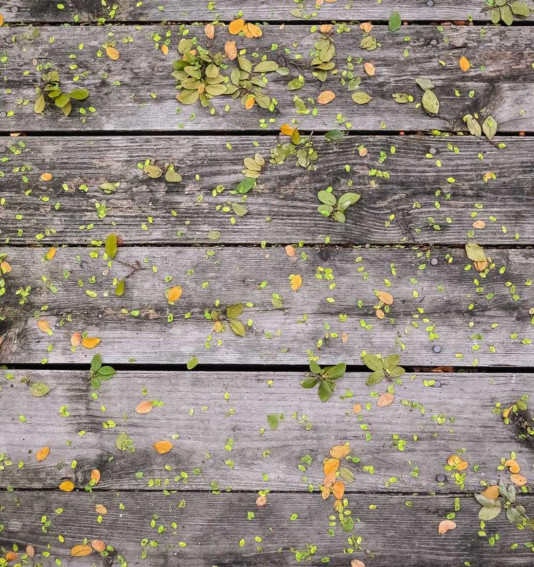 陇南注册公司代理收费吗