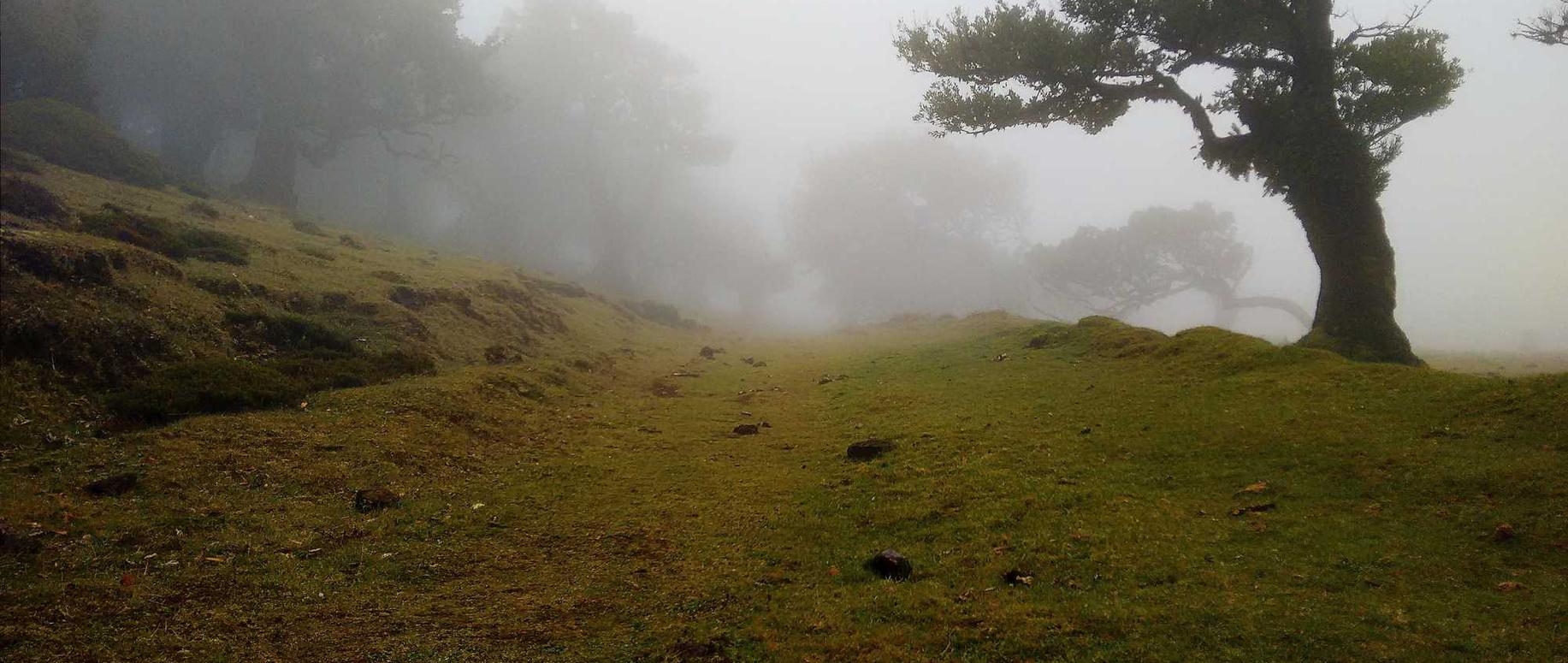 微信号白号批发:瑞安注册会计代理记账流程