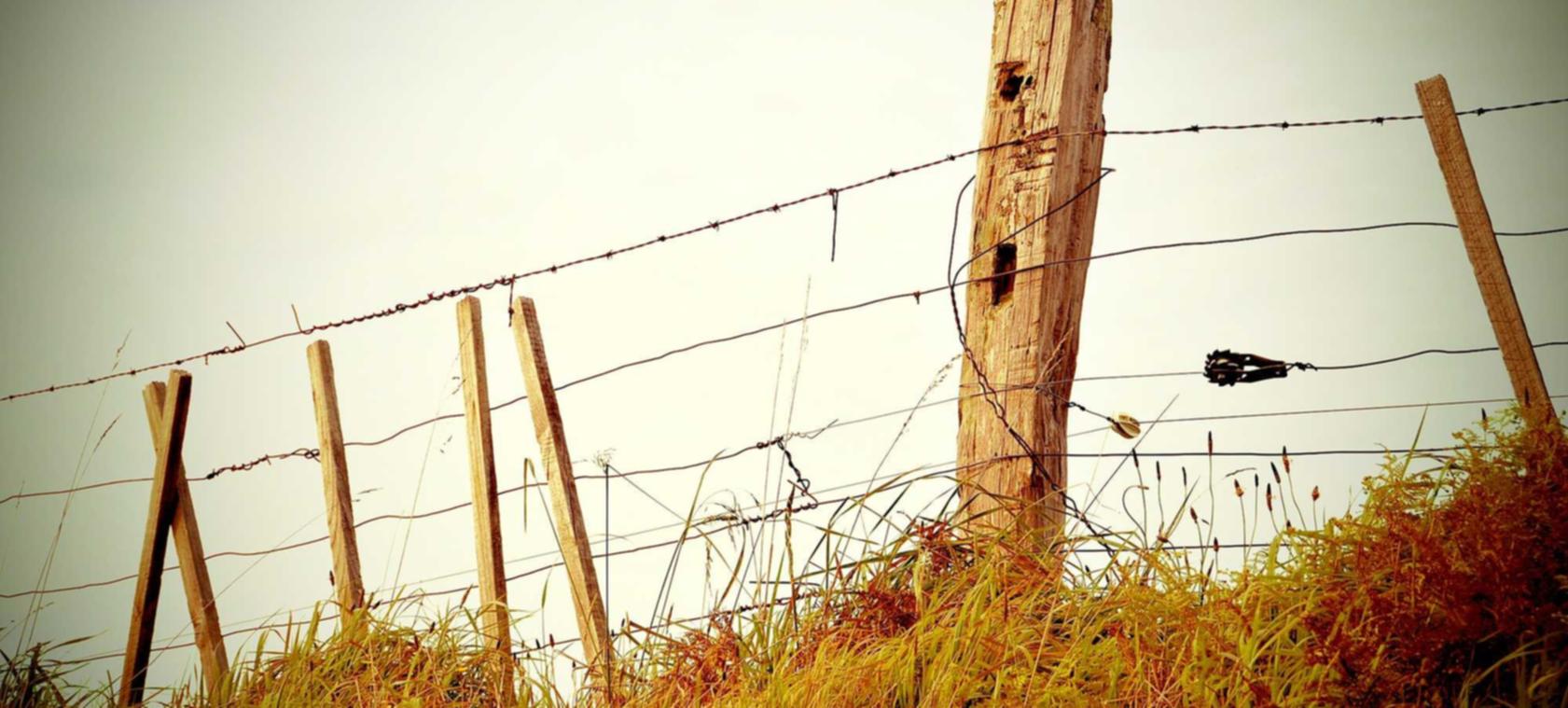 如何选择搜索引擎中的关键字优化?