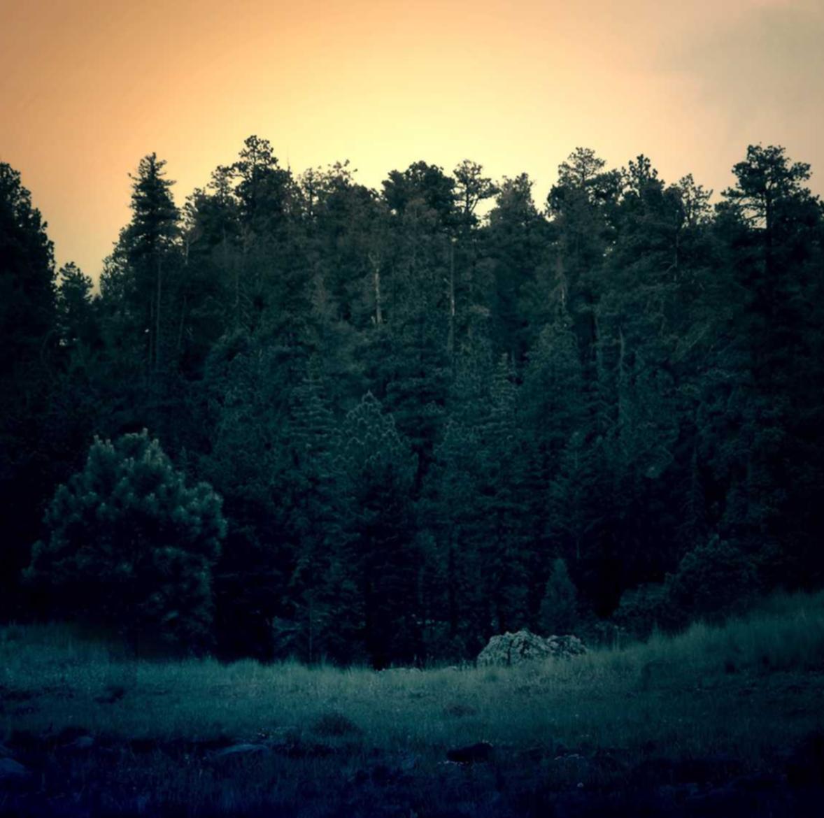 VX小号买卖：如何通过短信营销扩大客户群体？