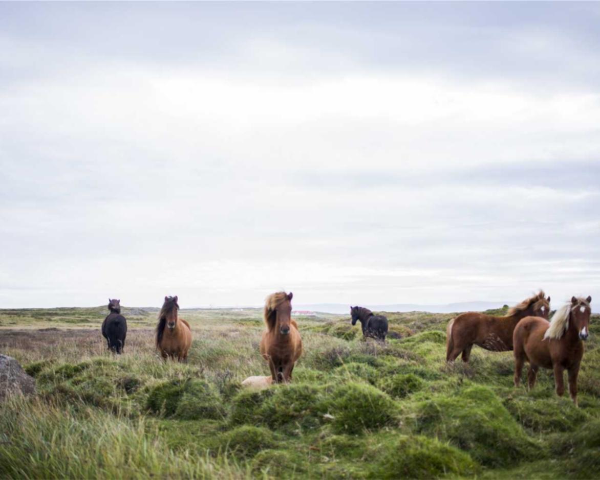 DDOS平台|苹果注册企业账号