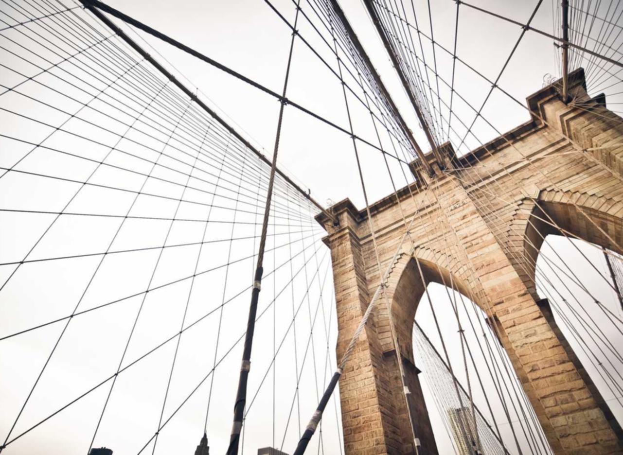 蓝狮在线，注册|从哪个平台购买俄罗斯产品