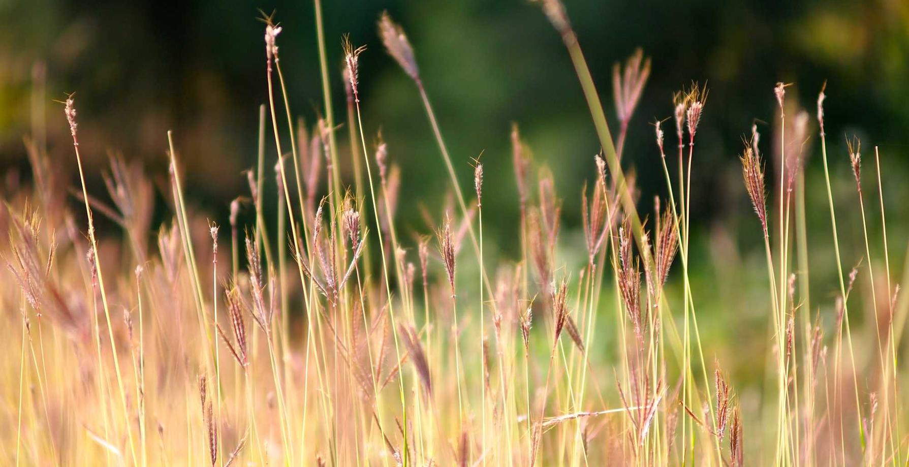 免费攻击网站|外汇平台开户赠金