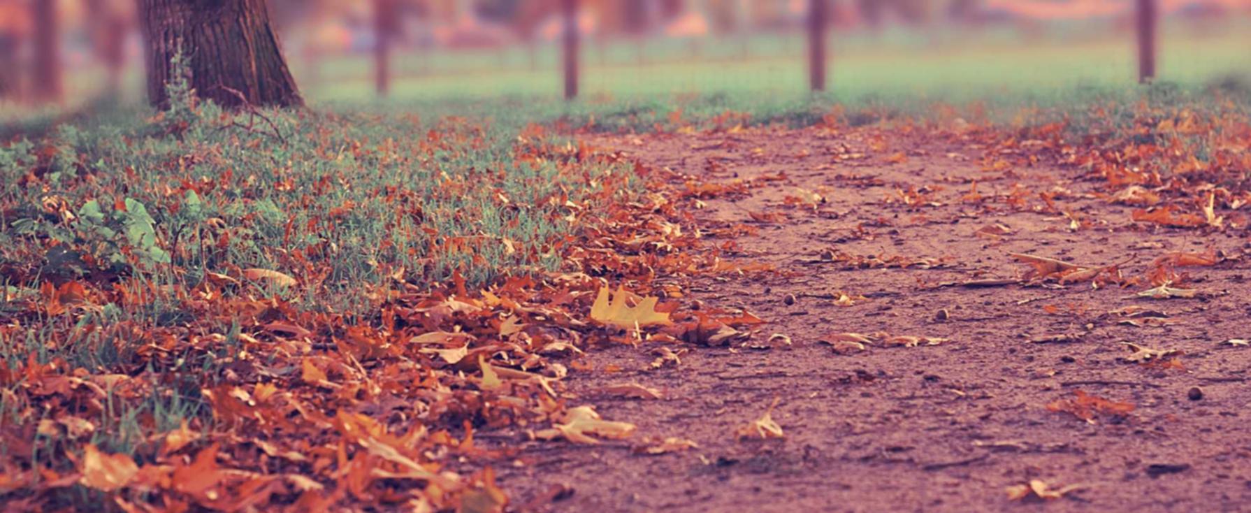 电销手机卡实名实名账号:流量卡对个人生活、工作和休闲的影响和价值认知