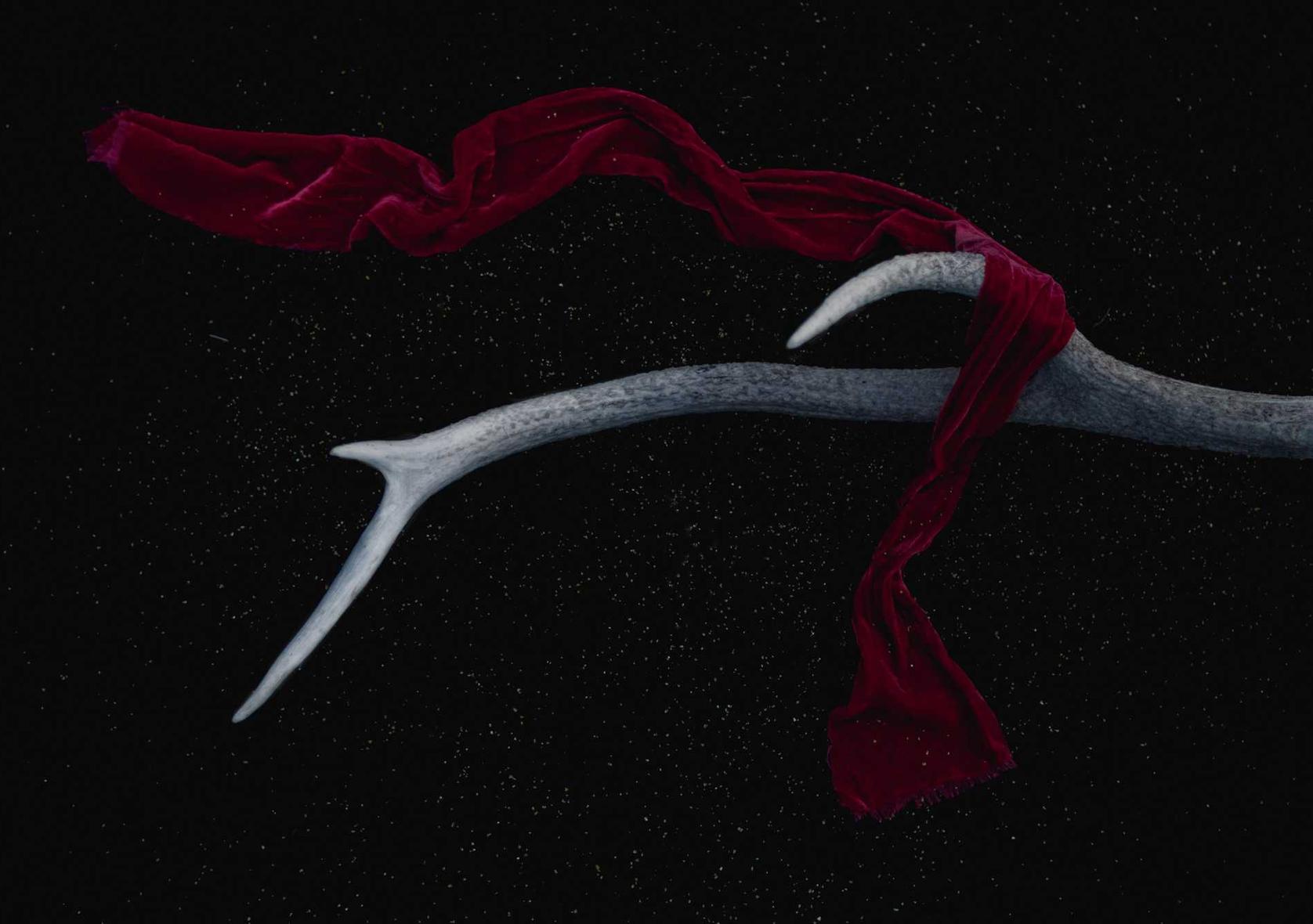 信无双娱乐,注册|北京水果购买平台