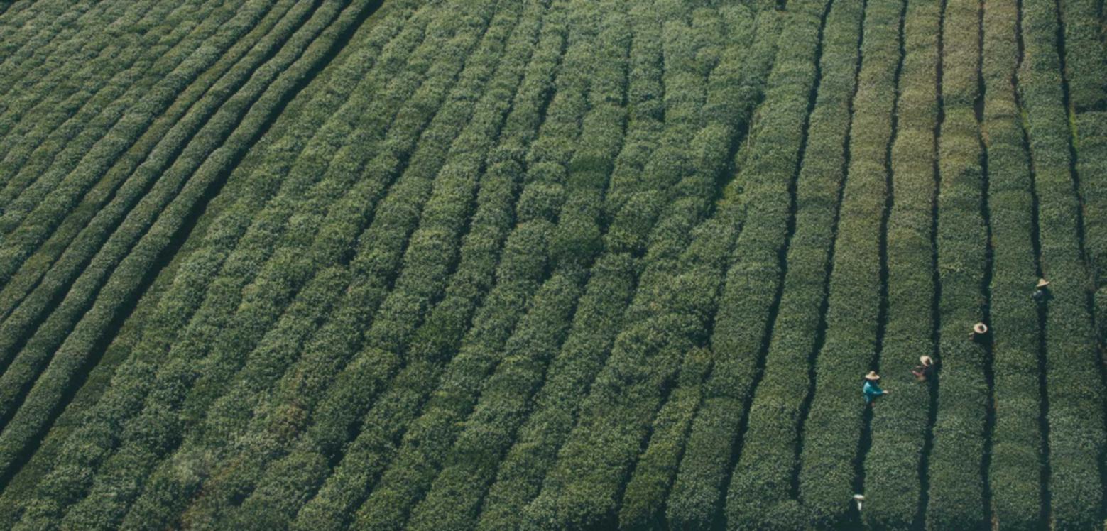 天启ip实名账号：流量卡的互联网拓展技术介绍