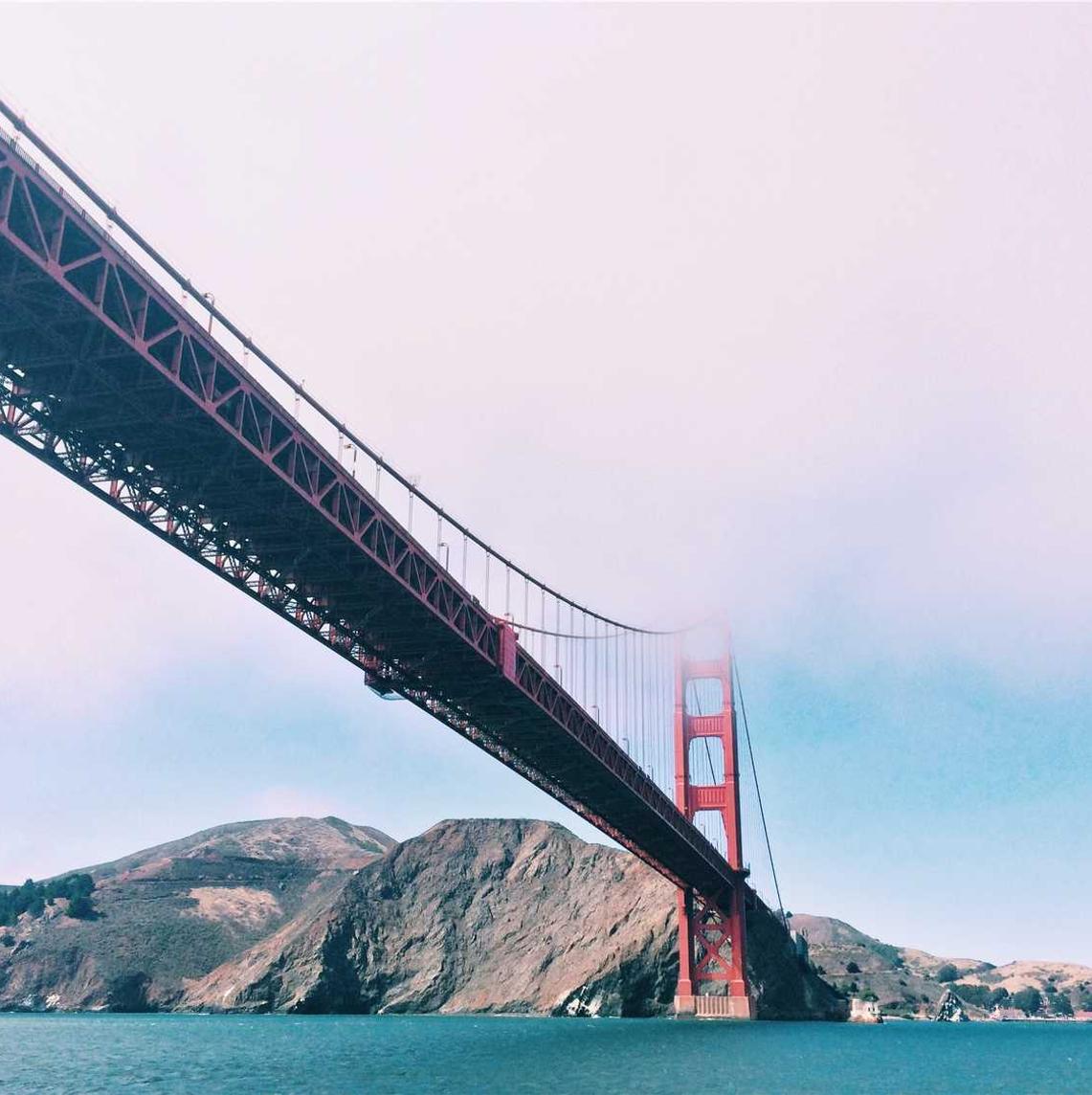 蝙蝠实名账号：详情下载教程大蓝鲸app