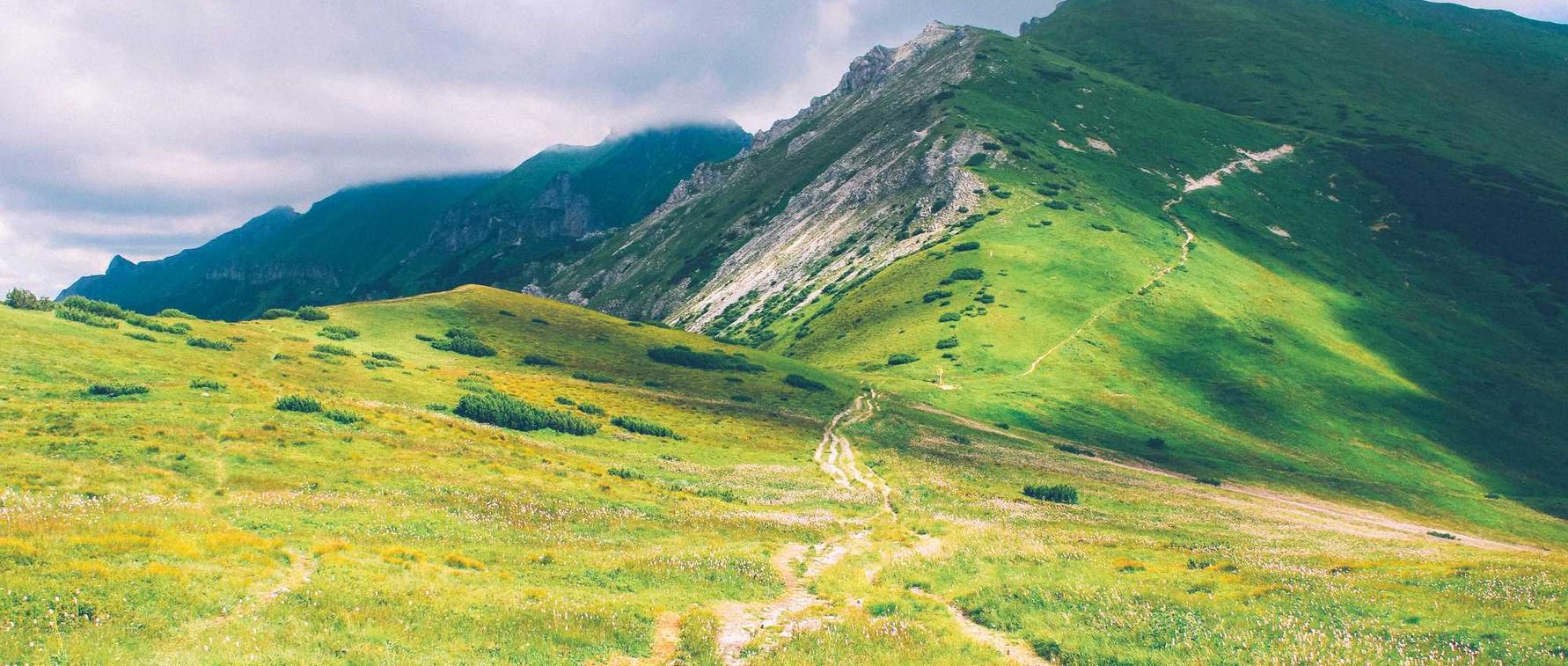 红豆电信实名账号:图片编辑器app详情下载教程