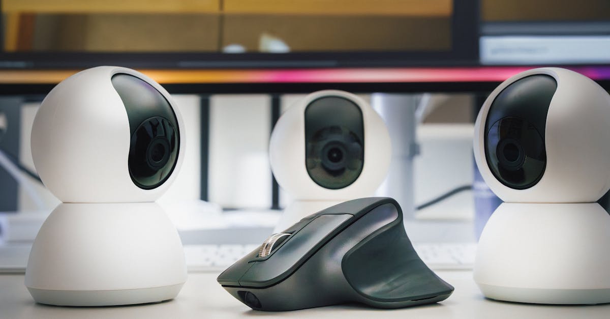 DDOS网页端源码|德州猫咪购买平台